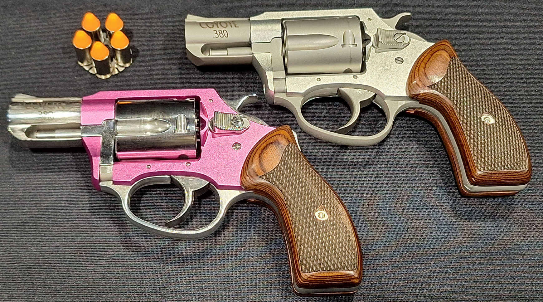 NRA Women | 10 New Guns to Watch for in 2025
