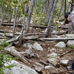 NRA Women | Increase Your Game Recovery Odds with the Right Tracking Gun