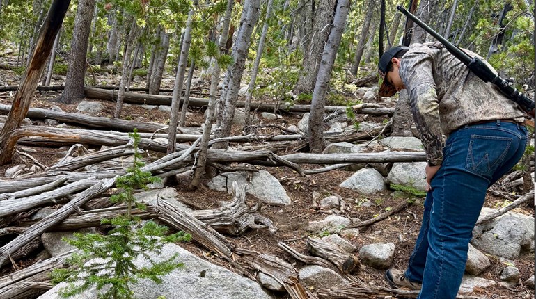 NRA Women | Increase Your Game Recovery Odds with the Right Tracking Gun