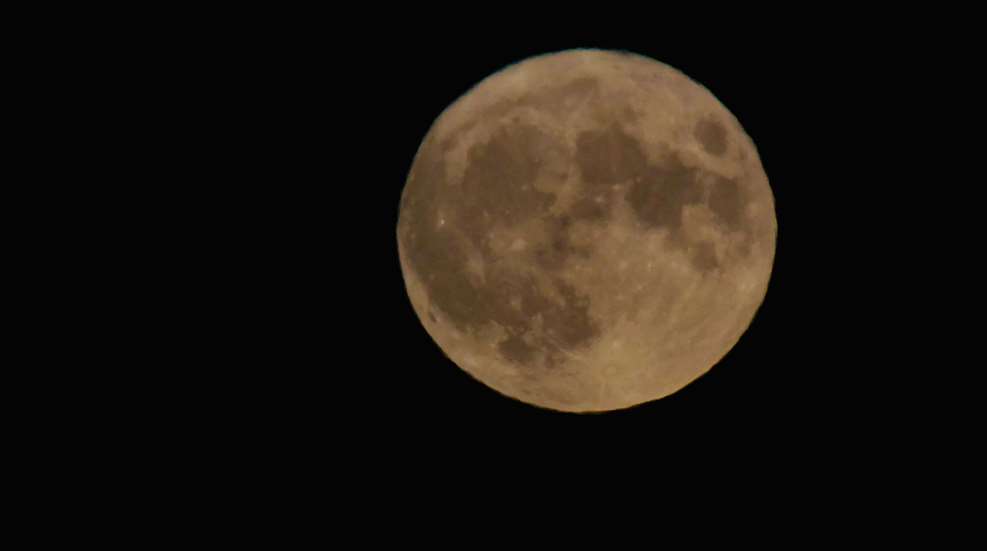 Bachman Full Moon