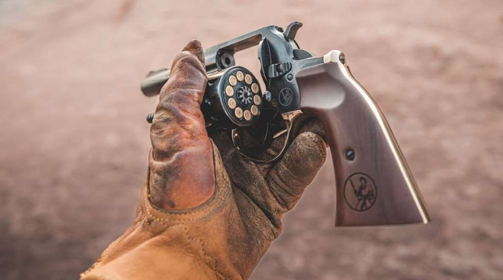 Henry Rimfire Revolver