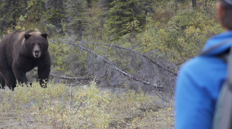 NRA Women | Keep Bear Spray as a Backup