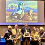 Deering Duck Stamp Usfws 2024 Federal Duck Stamp Contest Bruce Museum Lede
