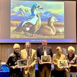 Why You Should Buy a Duck Stamp