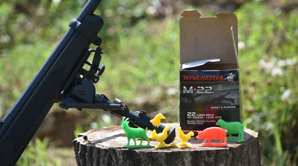 Yackley Family Game Night 22 Ammo And Plastic Animal Targets (1)
