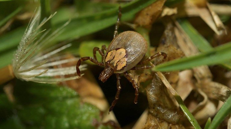 NRA Women | Short Shots: Ugh, So Ticked