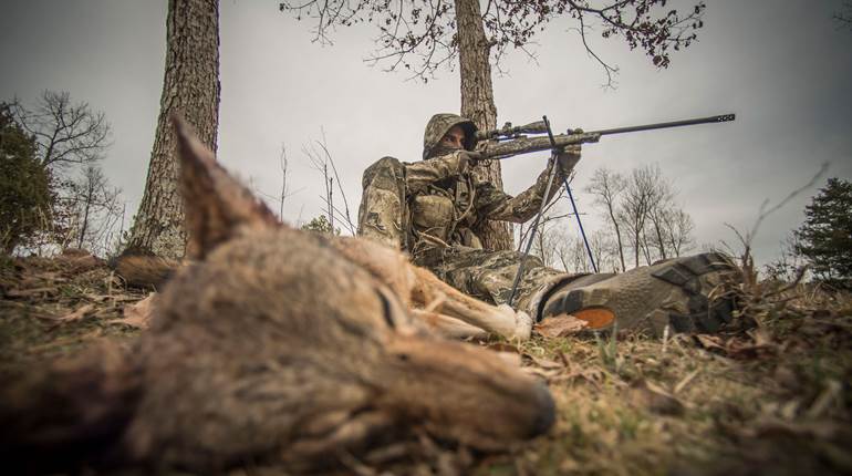 NRA Women | Coyote Hunting 101