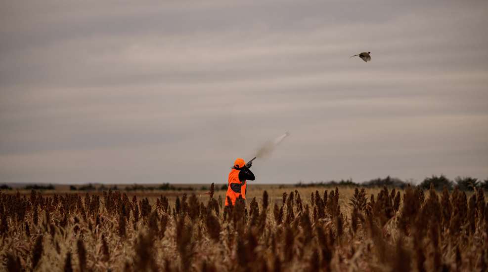 Bachman Pheasant Choke Shoot