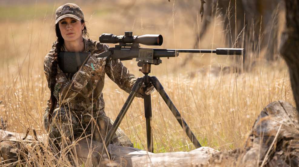 Bachman Seal Deal Lede