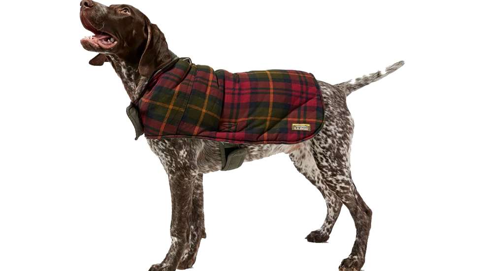 Llbean Plaid Reversible Dog Coat