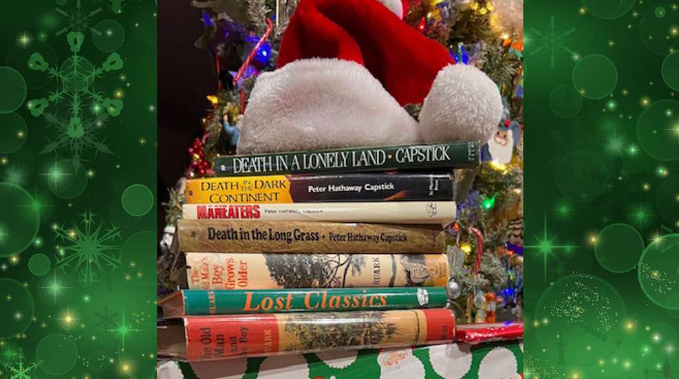 Rao Books Christmas Lede (1)