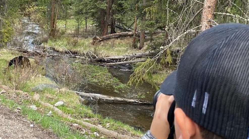 Rao Backcountry Bear Country Lede