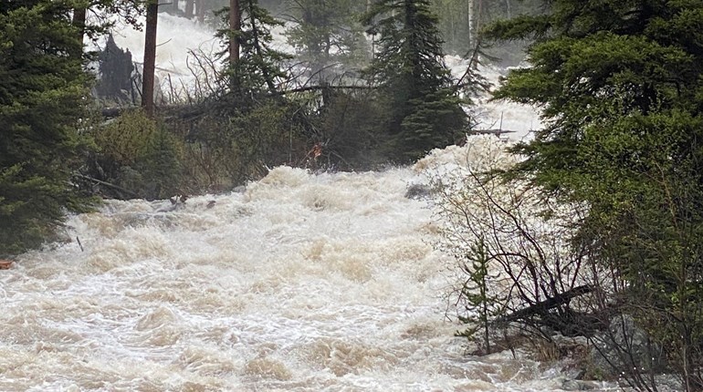 NRA Women | How to Have a Wild—but Safe—Time in America's National Parks