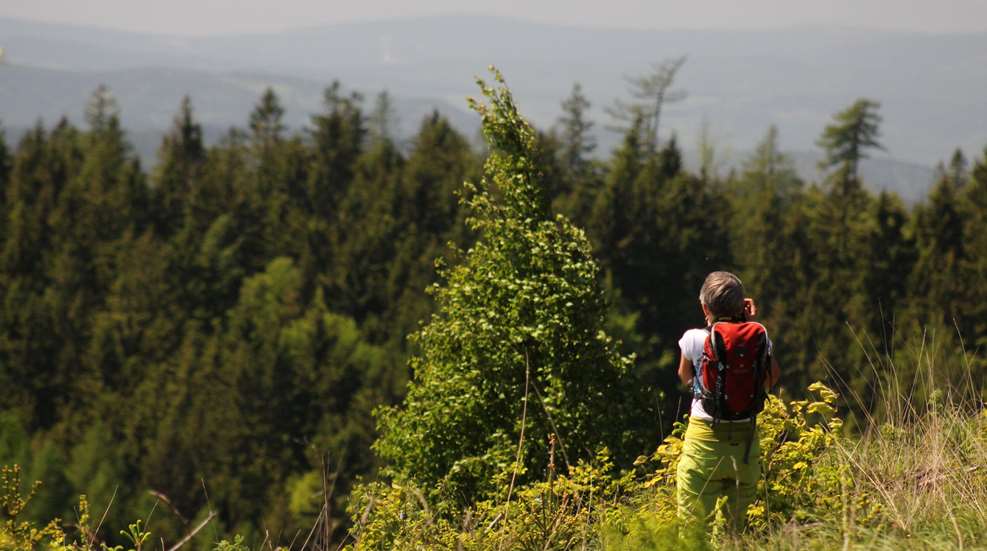 Woman Hiker