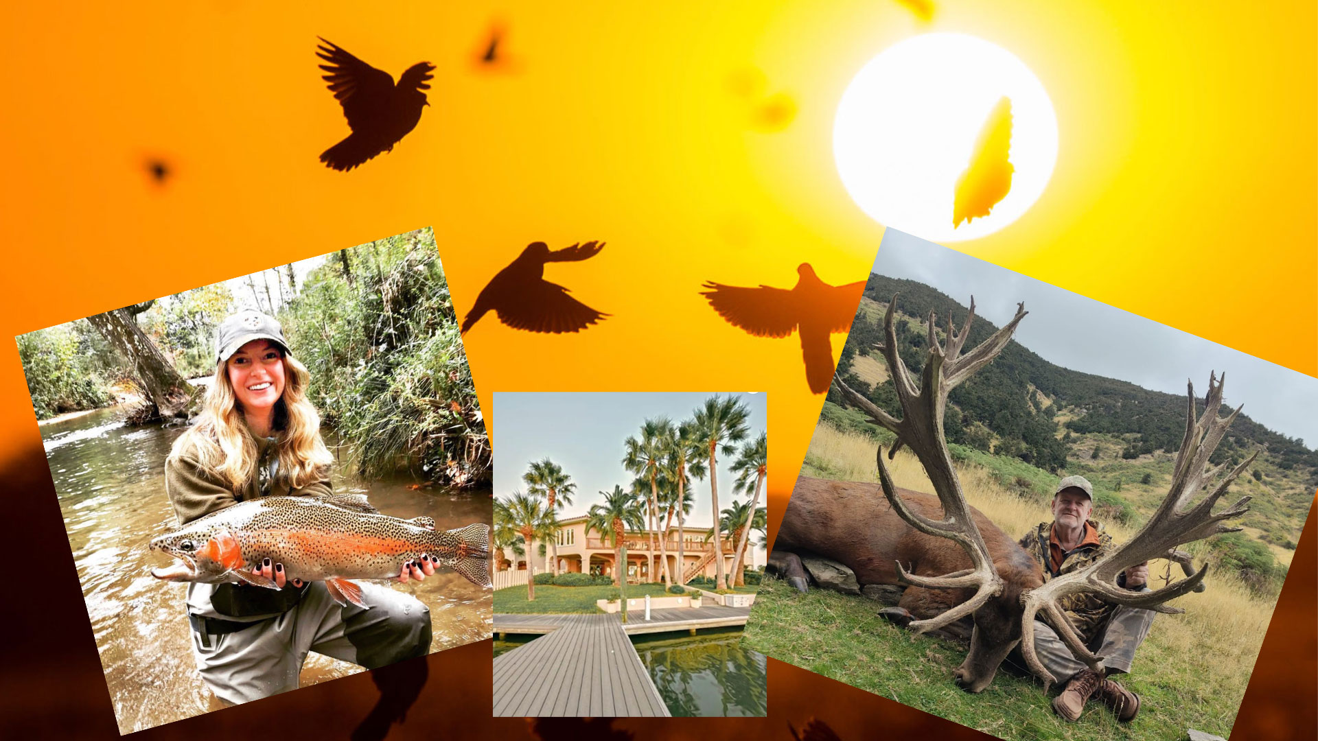 Wlf Sa 26 Adventures Lede