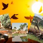 Wlf Sa 26 Adventures Lede