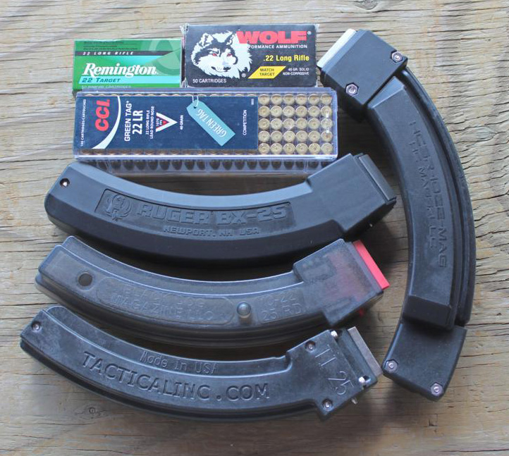 Do .22 LR Rifles Make Sense for Home Defense?