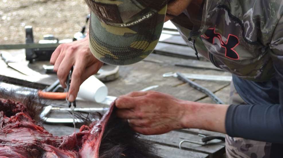 Deering Knife 1