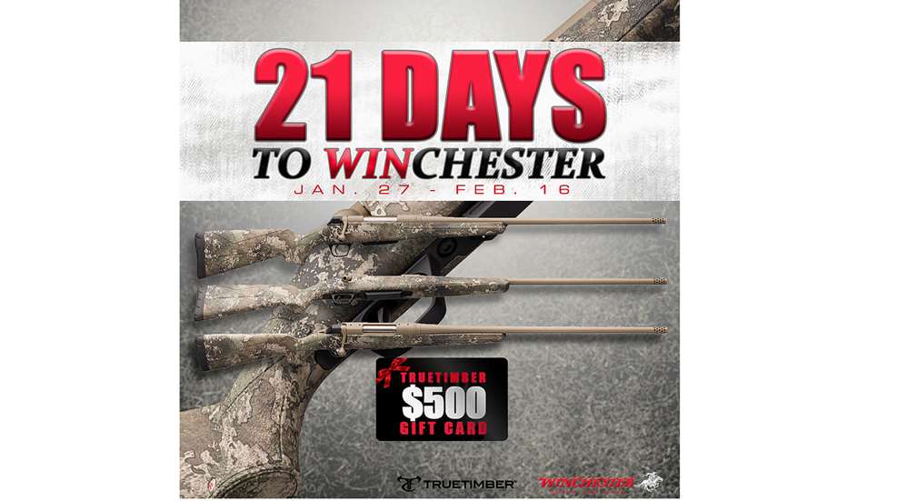 Win 21 Days Lede
