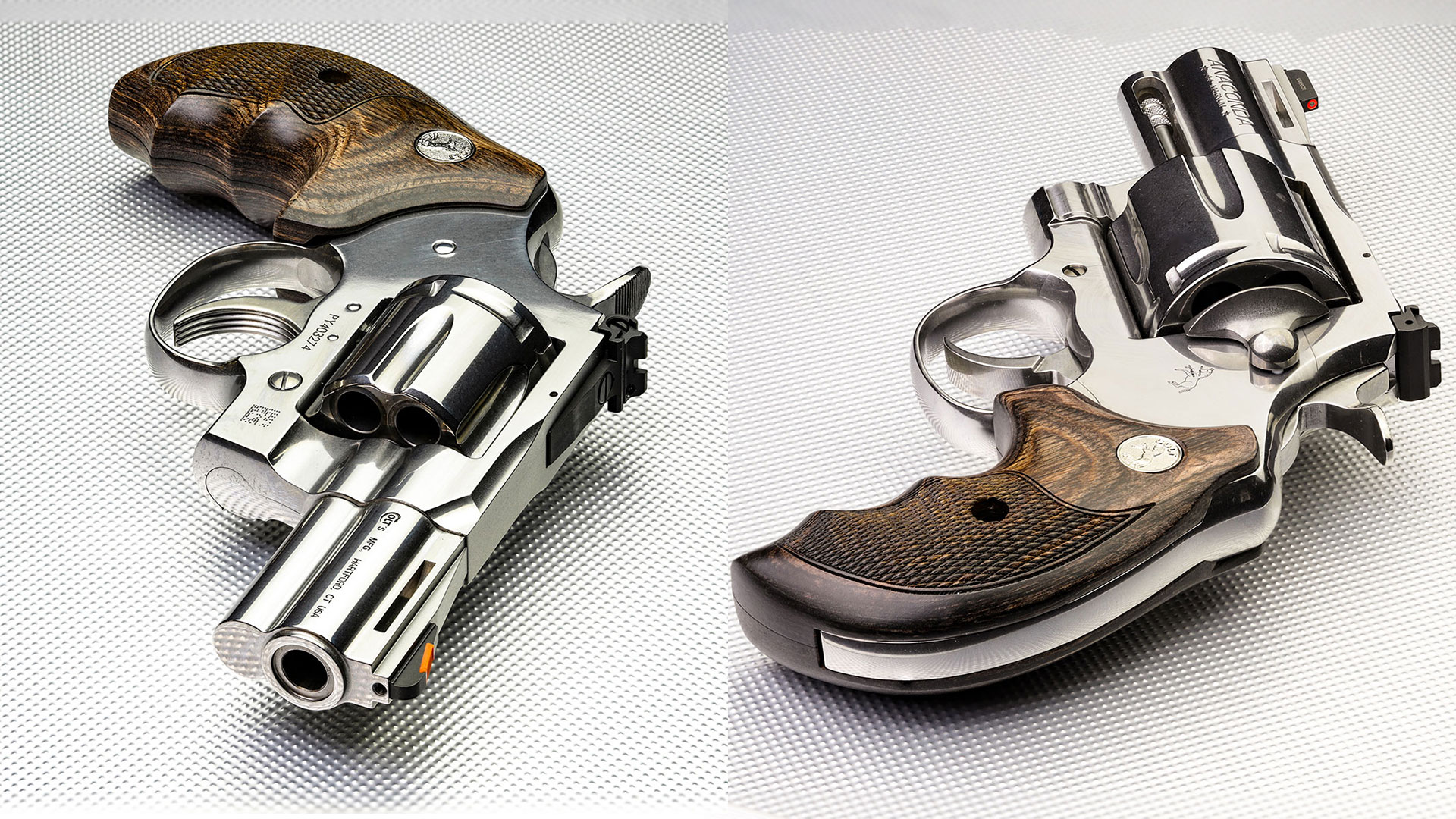 Colts Davidsons Python Anaconda