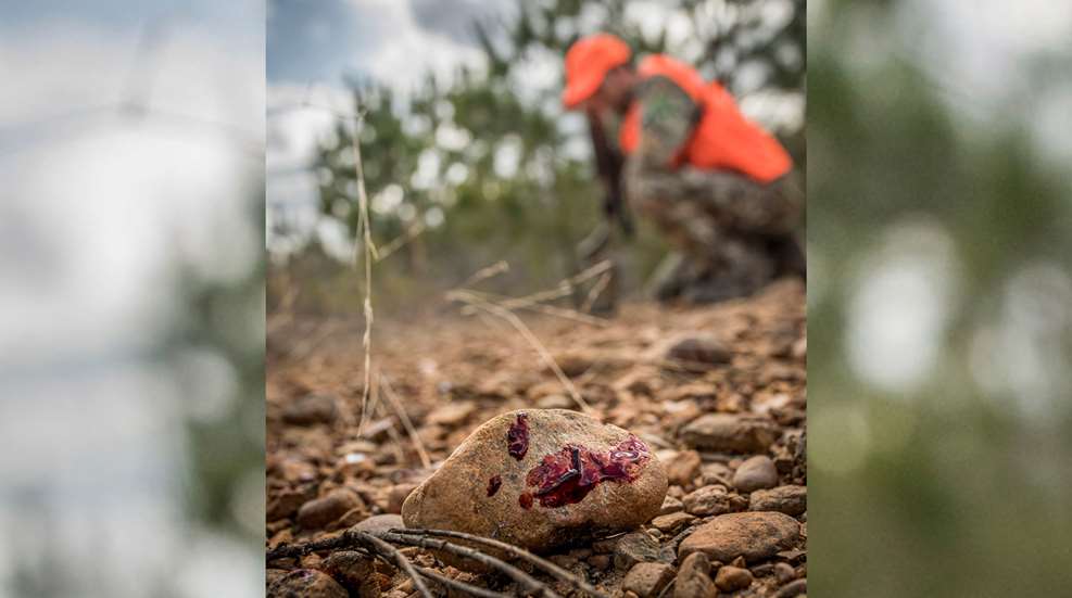 Deering Bloodtrailing