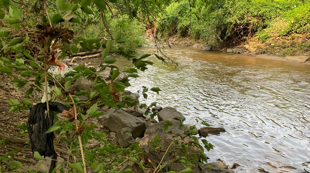 Littered Stream