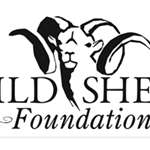 Wild Sheep Foundation Logo
