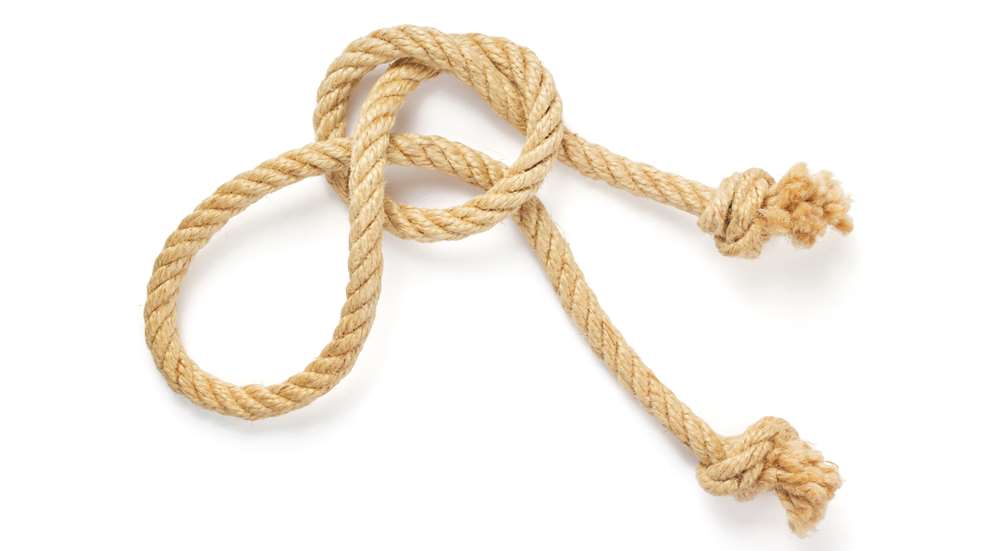 Knots Lede