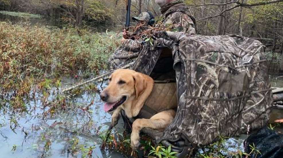 Rao Dog Waterfowl Lab