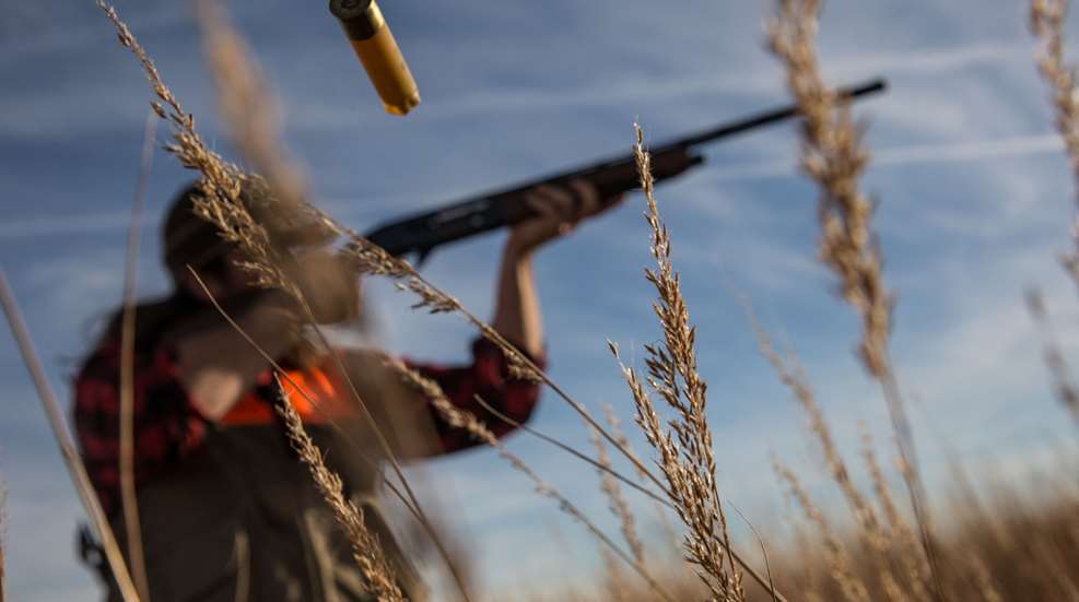 Weatherby ORION ELEMENT UPLAND