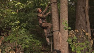 Treestand Safety Woman Climbing Tree (1)