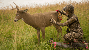 Melissa Bachman Spraying Decoy With Scent Killer