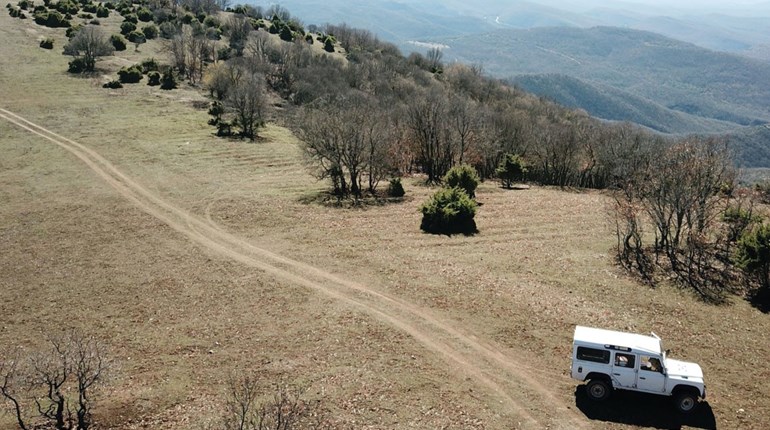 NRA Women | 2021 NRA Women's Leadership Forum Online Auction Spotlight: 5-Day European Grey Wolf Hunt