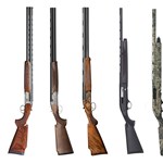 8 Great Shotguns Befit for Women