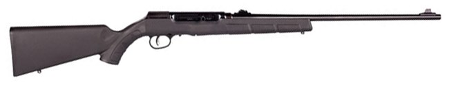 Savage Arms .22 LR Carbine