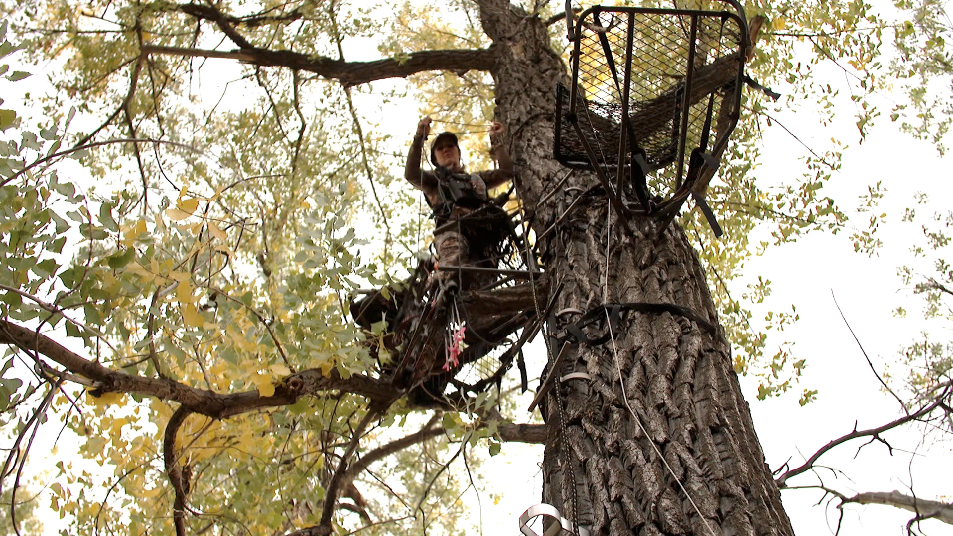 Bachman Pack Pull Up Rope On Stand