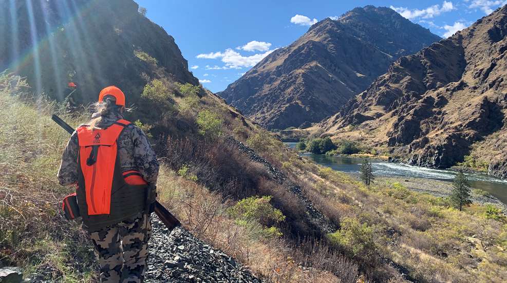 Hunting Chukar In Hell's Canyon