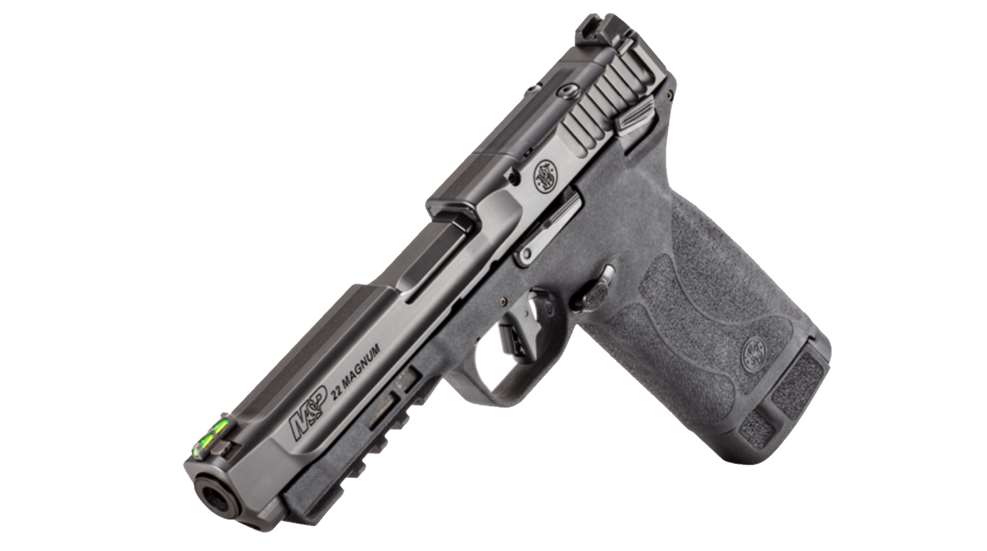 Smith Wesson Mp 22 Mag