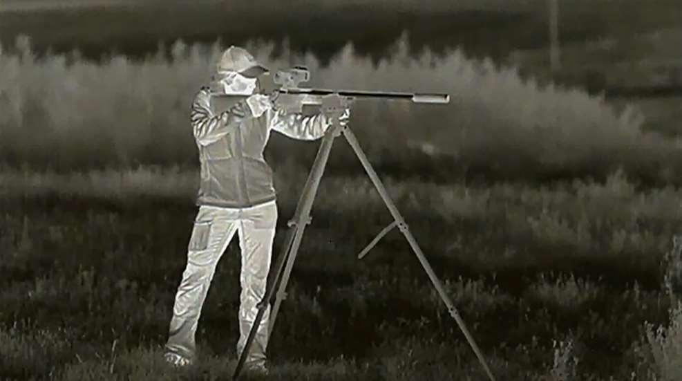 Bachman Night Hunting