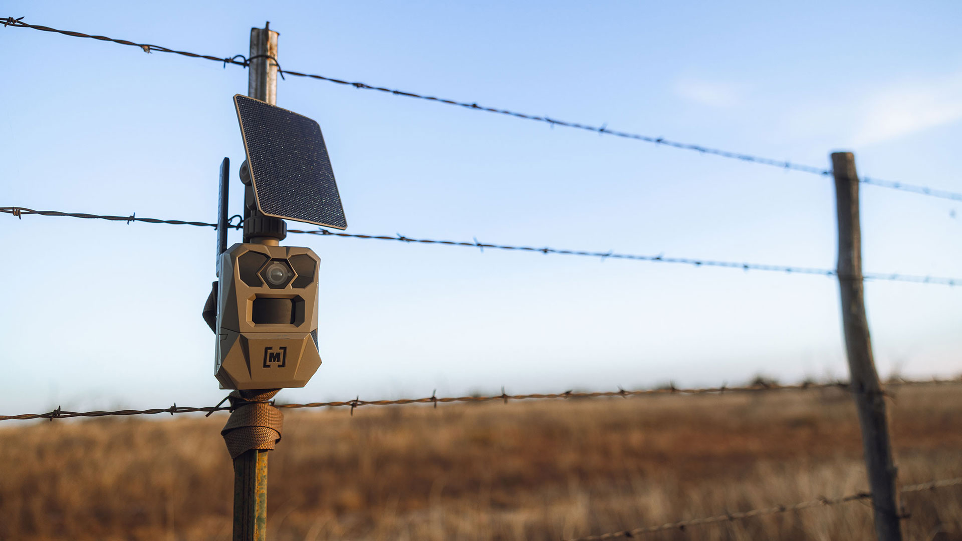 Deering Trail Cams Moultrie