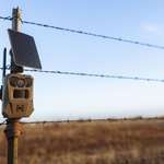 Deering Trail Cams Moultrie