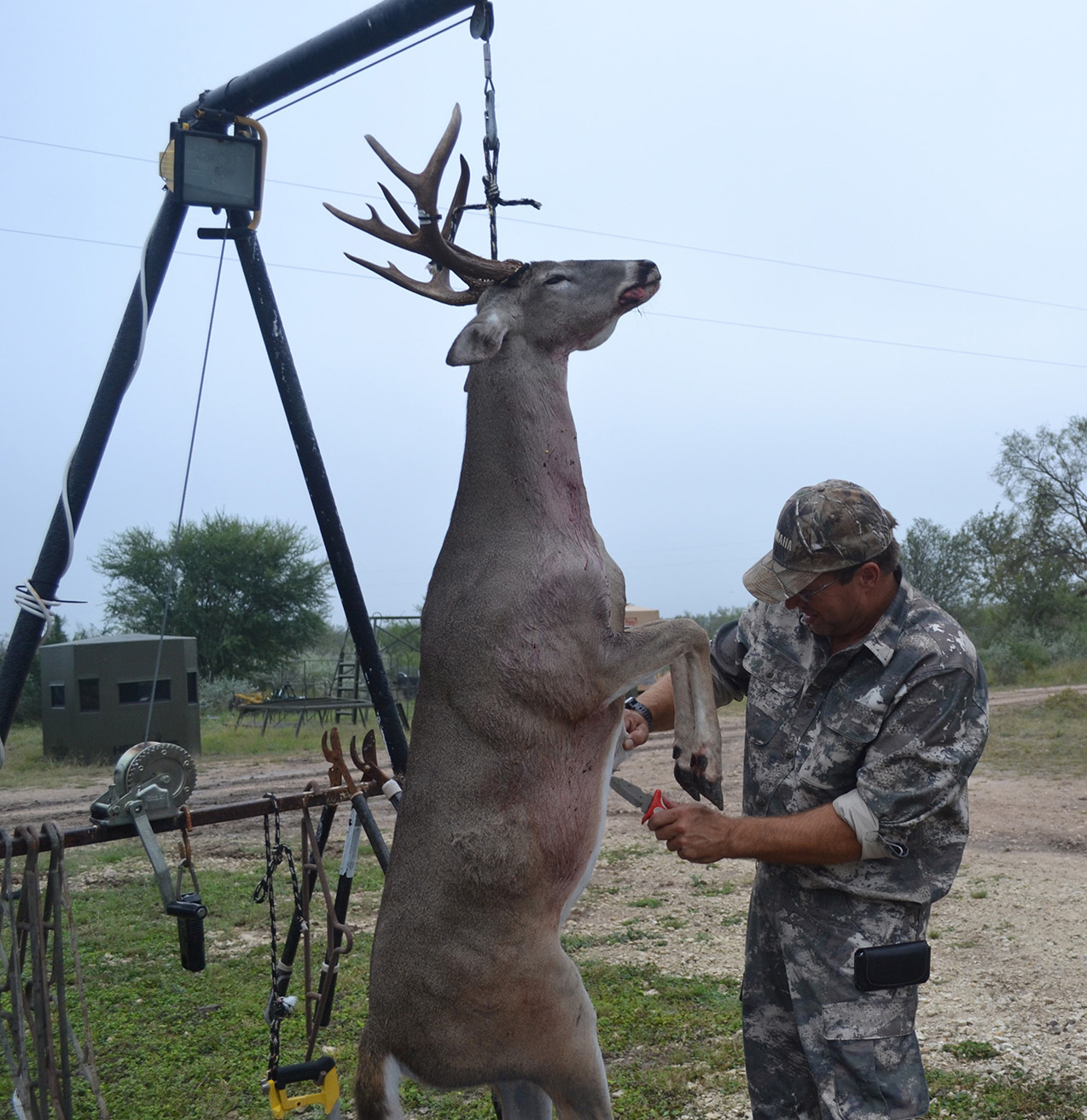 Why Your Game Meat Tastes So Bad