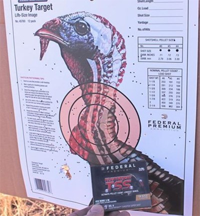 shot pattern on target