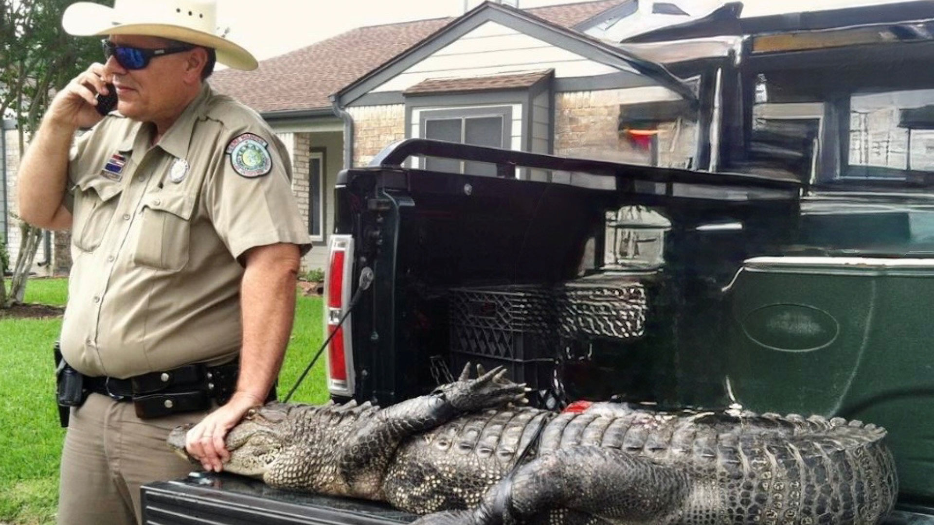 Rao Old Game Warden Relocated Alligator