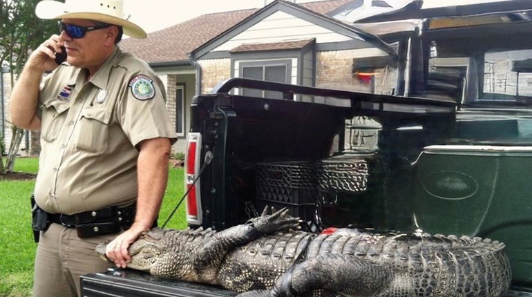 NRA Women | 3 Hunting Tips from an Old Game Warden