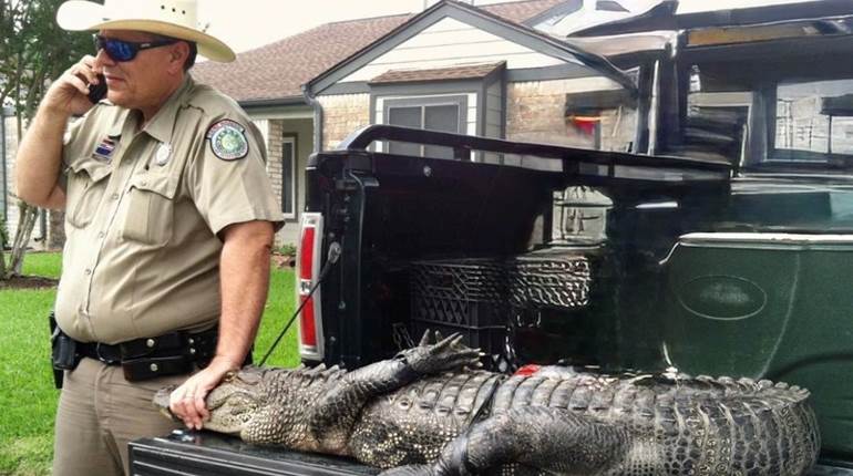 NRA Women | 3 Hunting Tips from an Old Game Warden