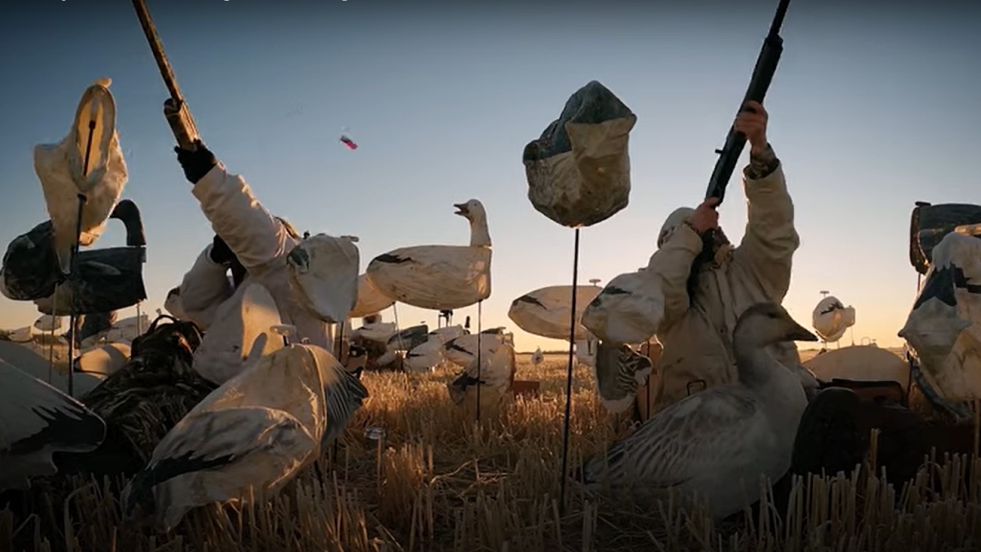 NRA Women | Under Her Wing: Women, Waterfowl & a Savage Journey
