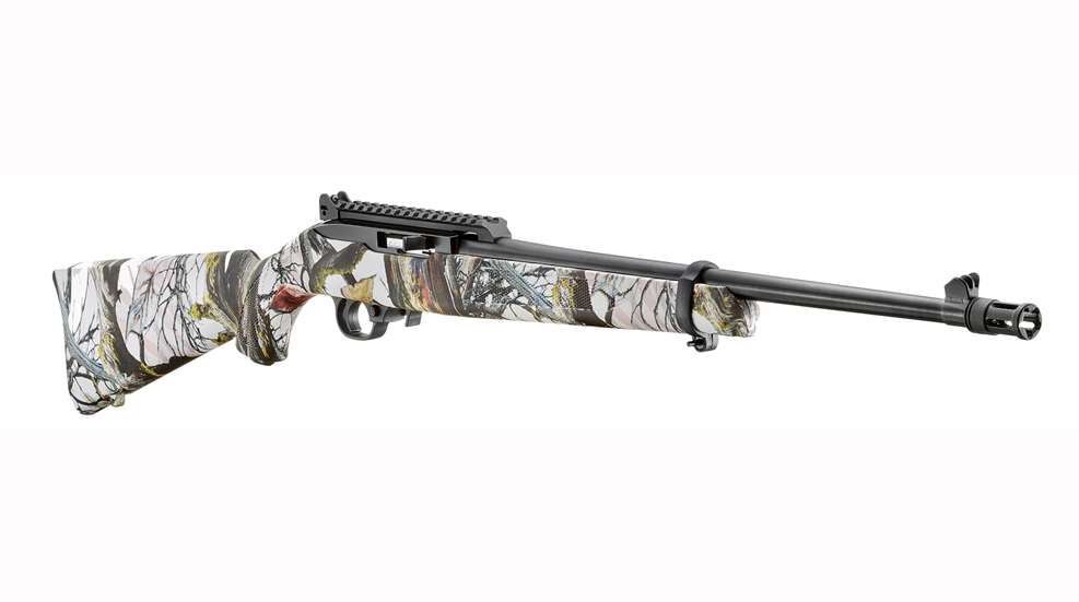 Ruger 10 22 Day 2023