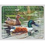 Michigan Woman Wins 2026 Montana Migratory Bird Stamp Contest