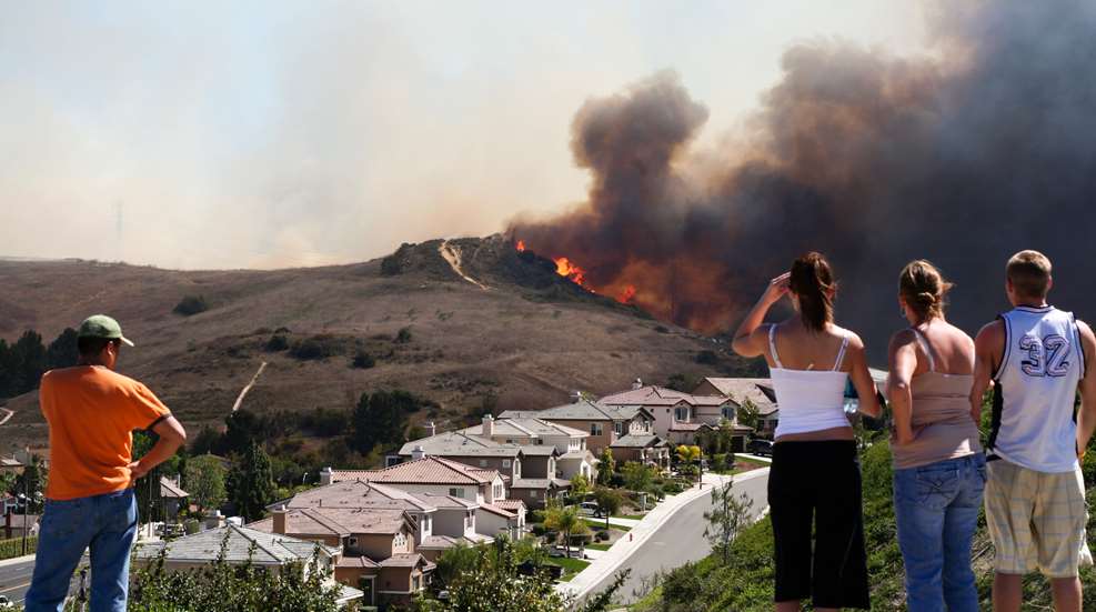 Deering Normalcy Bias Watching Brush Burn